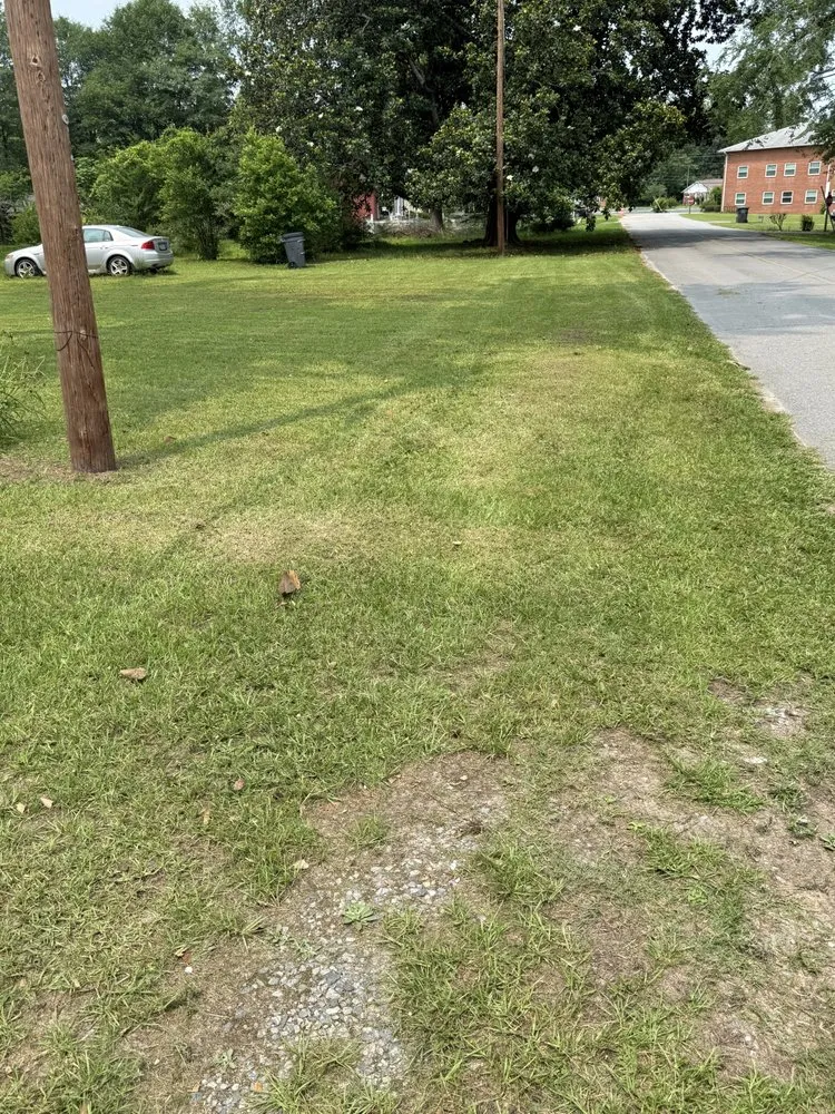 Affordable yard cleanup service in Wrightsville, GA by On the mend Lawncare