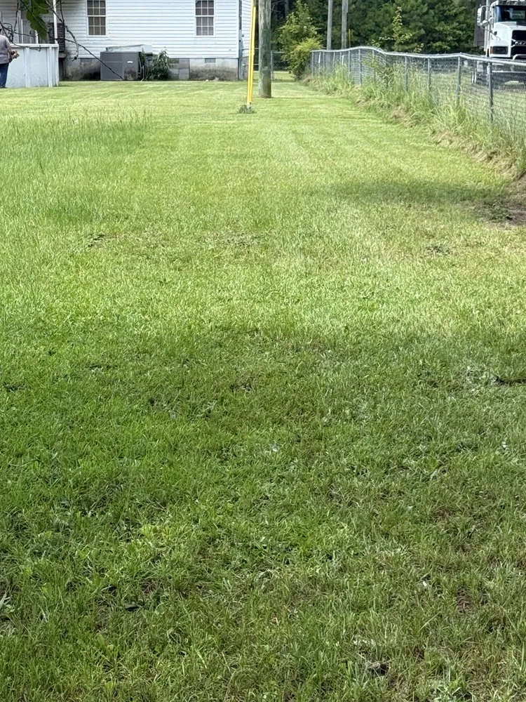 Expert landscaping services experts serving Wrightsville, GA - On the mend Lawncare