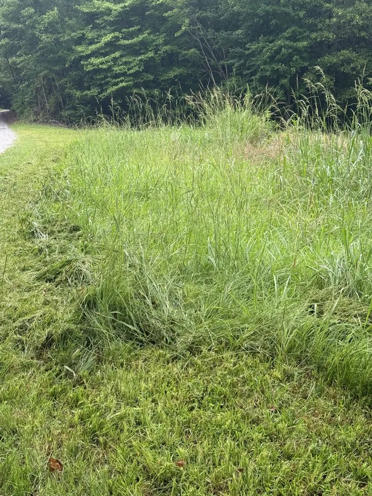 Affordable landscape installation in Wrightsville, GA by On the mend Lawncare