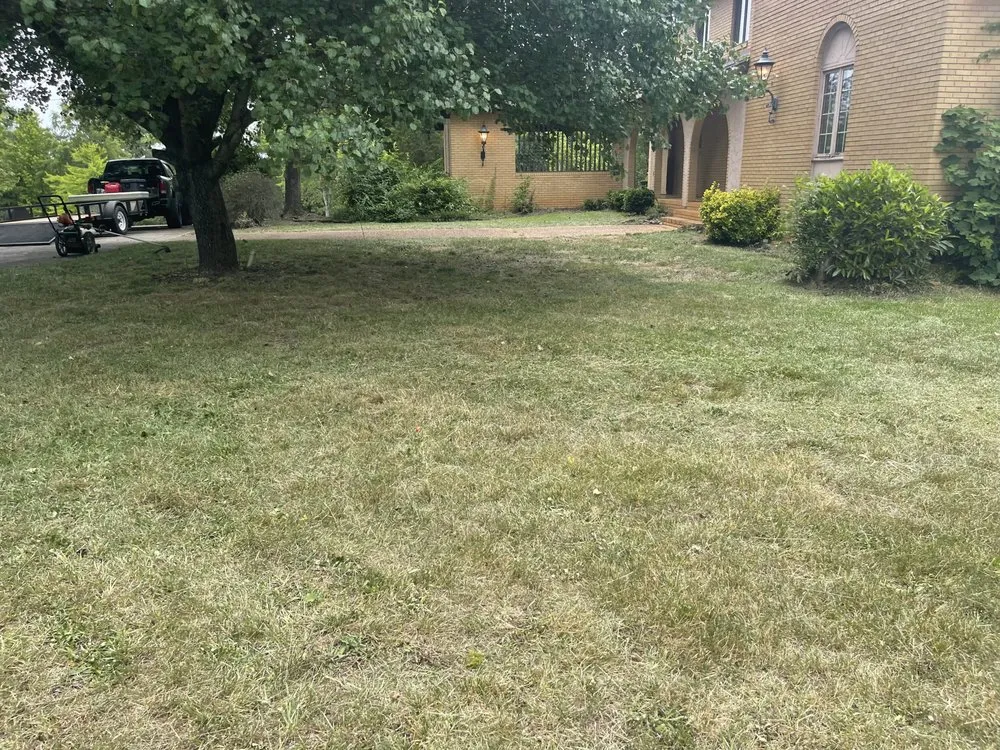 Local yard maintenance for beautiful yards across Wrightsville, GA - On the mend Lawncare