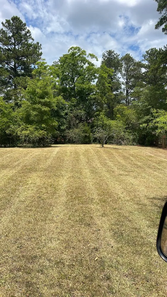 Top-rated yard cleanup service experts serving Wrightsville, GA - On the mend Lawncare