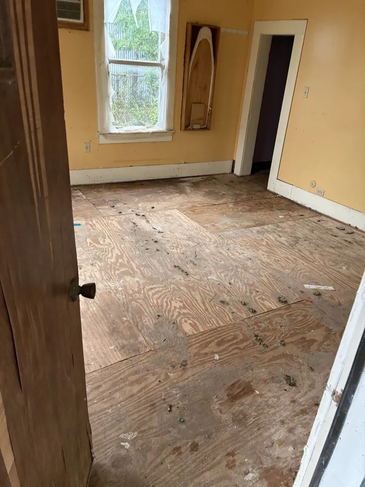 Reliable yard maintenance for beautiful yards across Kingsville, TX - On The Move Landscaping