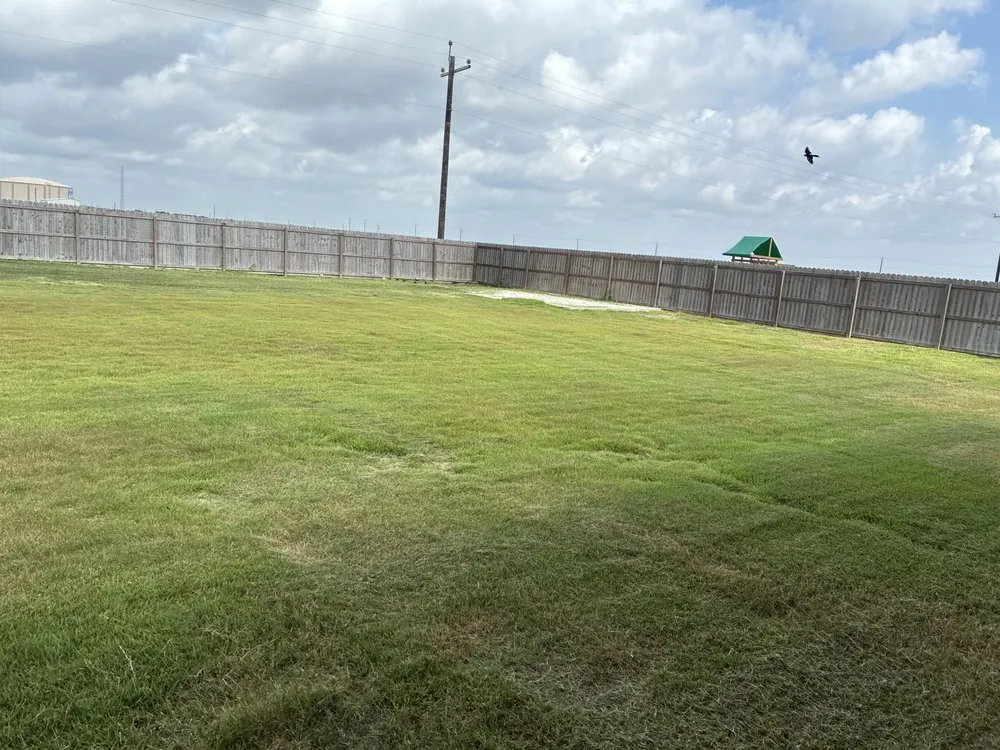 Local lawn mowing service near you across Kingsville, TX - On The Move Landscaping