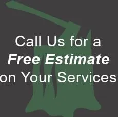 Trusted residential landscaping for homes across Ipswich, MA - On the Side Tree & Landscape