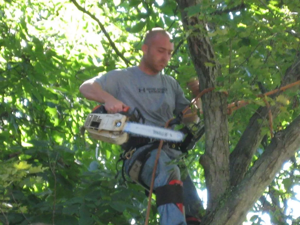 Affordable landscape installation for outdoor upgrades in Roxbury Township, NJ by On the Side Tree