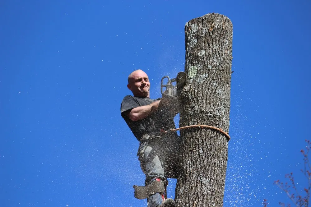 Professional landscape installation near you across Roxbury Township, NJ - On the Side Tree