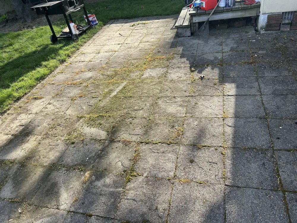 Professional lawn mowing service in Garden City, NY by On The Spot