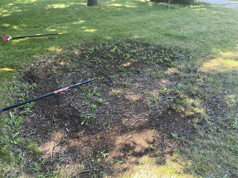 Expert landscape installation for residential properties across Garden City, NY - On The Spot