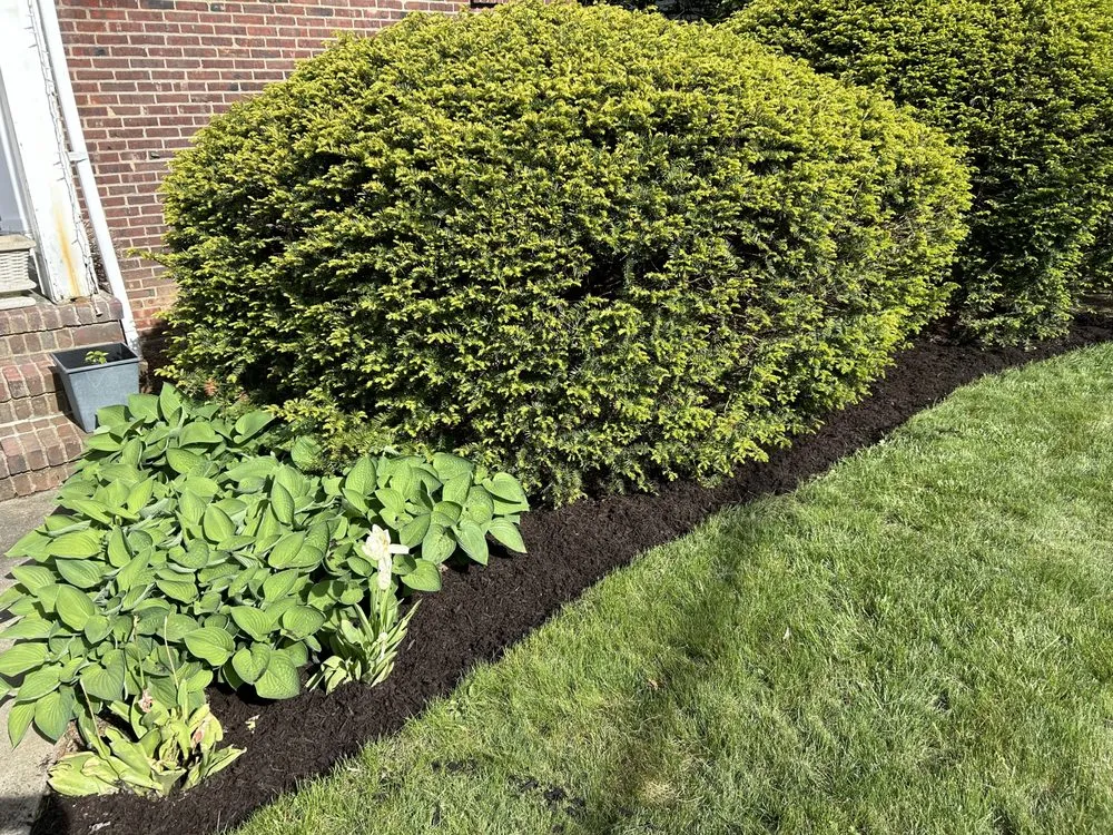 Reliable landscape installation for outdoor upgrades in Garden City, NY by On The Spot