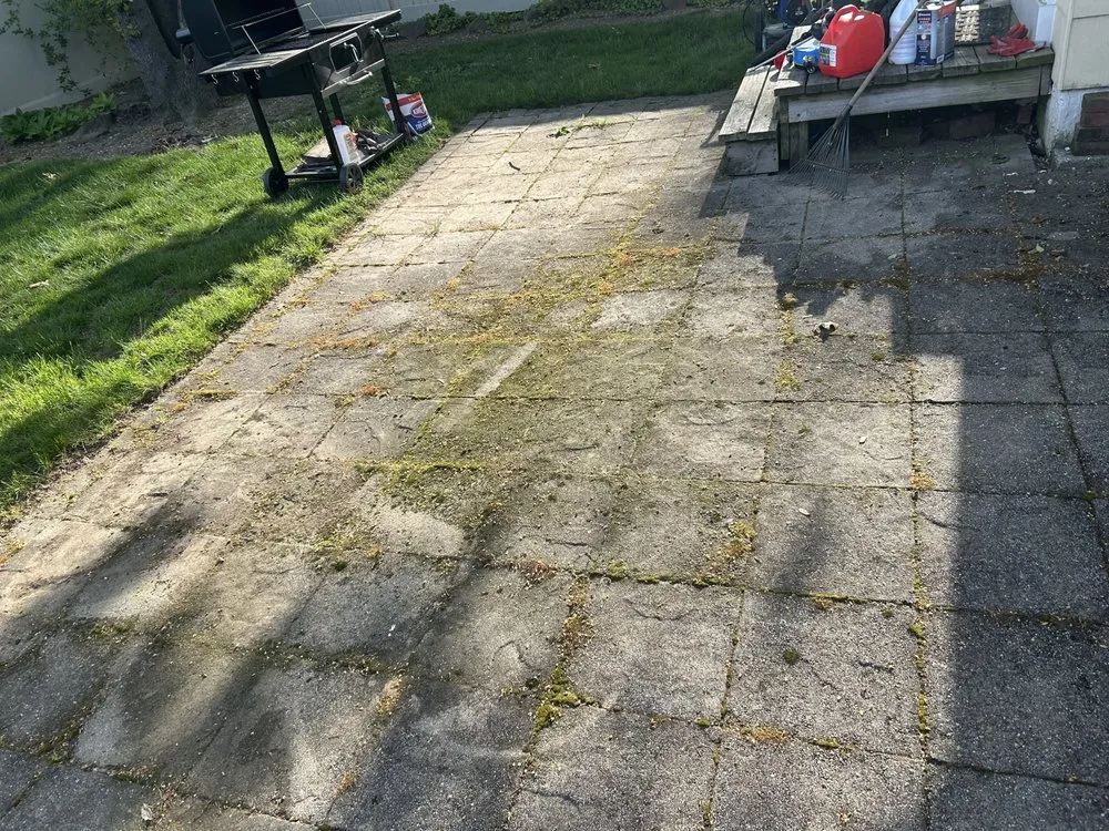 Professional landscape installation in Garden City, NY by On The Spot