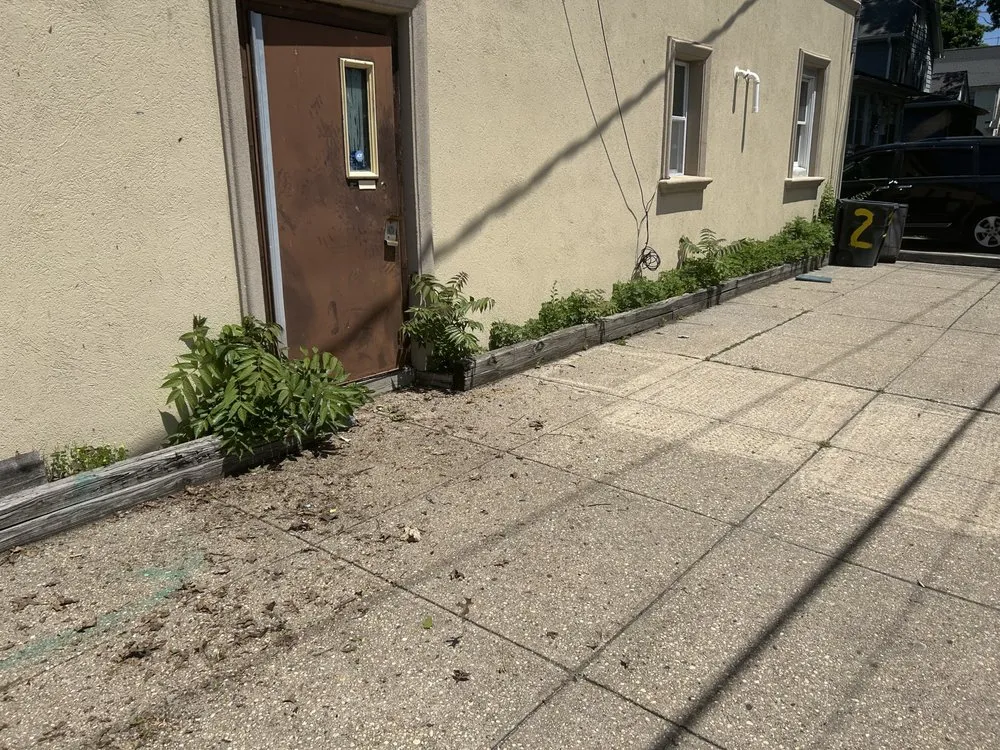 Top-rated yard cleanup service experts serving Garden City, NY - On The Spot