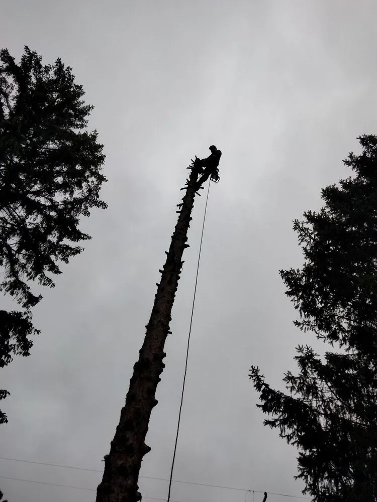 Reliable outdoor landscaping in Jackson, MI - On The Spot Lawncare And Landscaping