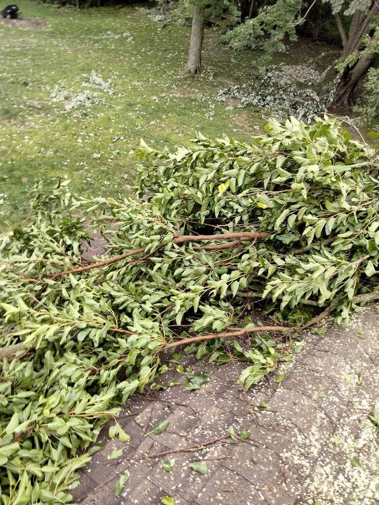 Professional outdoor landscaping for homes in Jackson, MI by On The Spot Lawncare And Landscaping