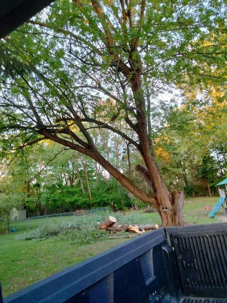 Professional landscaping services in Jackson, MI by On The Spot Lawncare And Landscaping