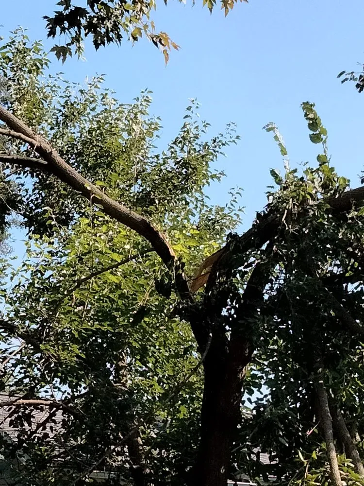 Affordable landscape installation experts serving Jackson, MI - On The Spot Lawncare And Landscaping