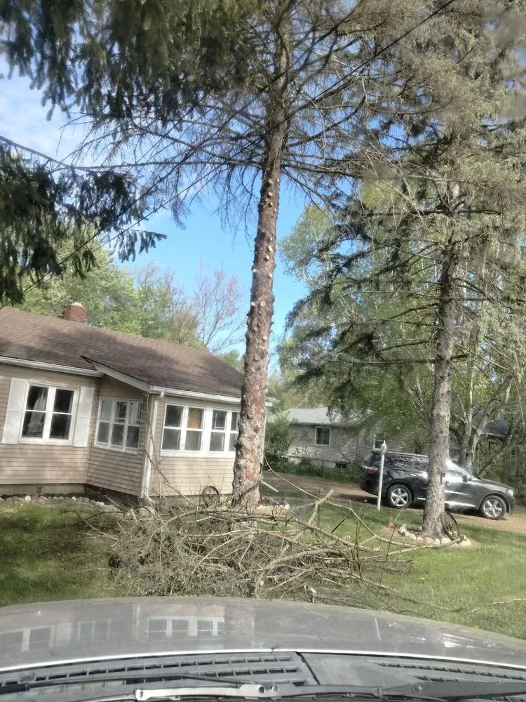 Trusted landscape design in Jackson, MI by On The Spot Lawncare And Landscaping