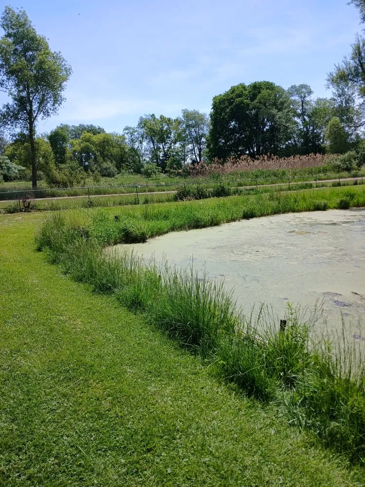 Professional outdoor landscaping with custom design in Jackson, MI by On The Spot Lawncare And Landscaping