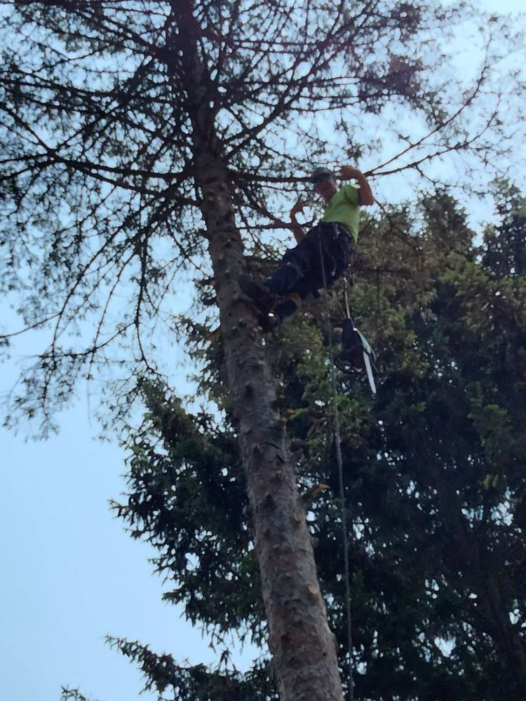 Expert landscape design for residential properties in Jackson, MI by On The Spot Lawncare And Landscaping