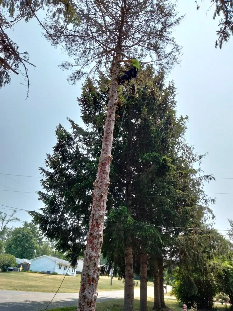 Local landscaping services for homes across Jackson, MI - On The Spot Lawncare And Landscaping