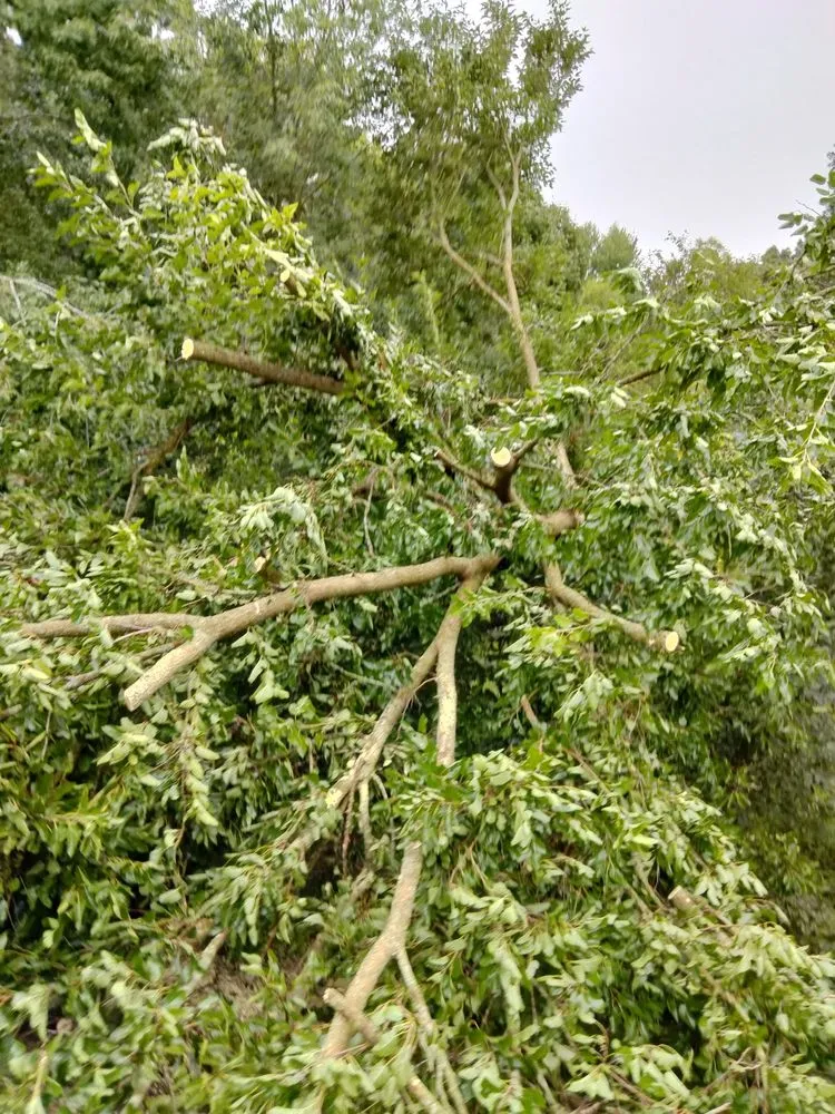 Local landscape design for beautiful yards across Jackson, MI - On The Spot Lawncare And Landscaping