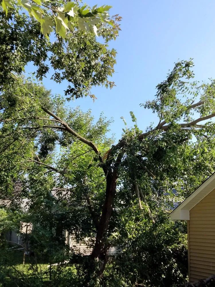 Custom landscaping services in Jackson, MI by On The Spot Lawncare And Landscaping