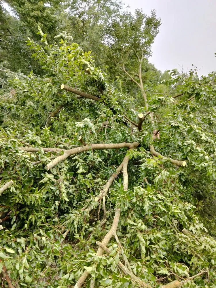 Top-rated outdoor landscaping experts serving Jackson, MI - On The Spot Lawncare And Landscaping