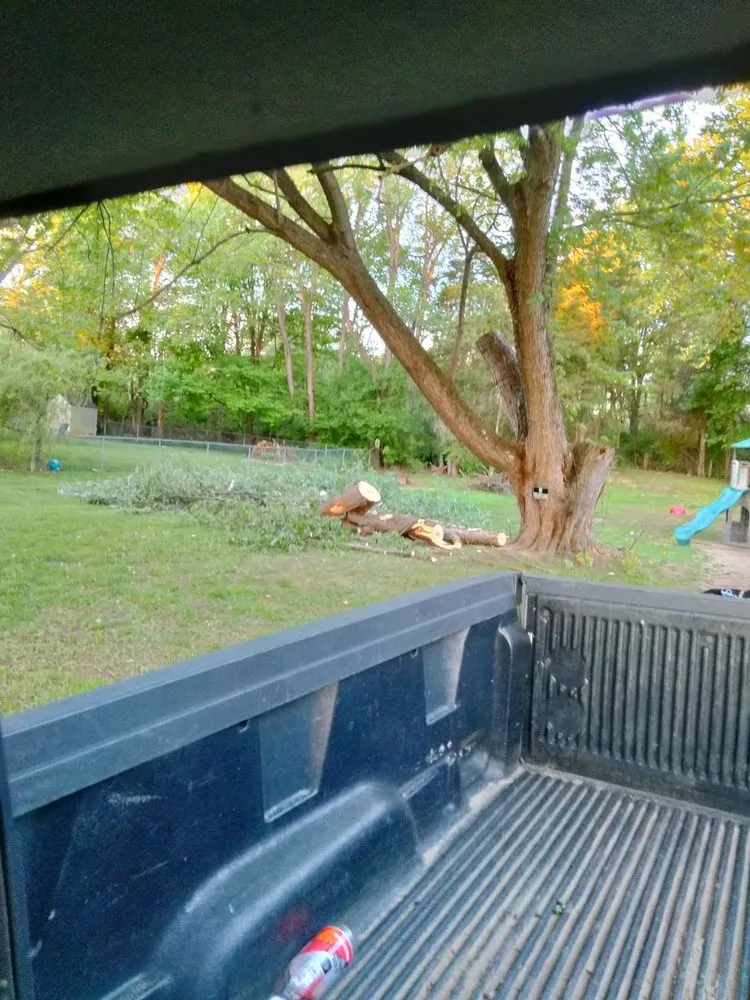 Top-rated yard maintenance experts serving Jackson, MI - On The Spot Lawncare And Landscaping