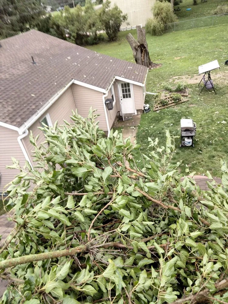 Reliable landscape installation in Jackson, MI by On The Spot Lawncare And Landscaping