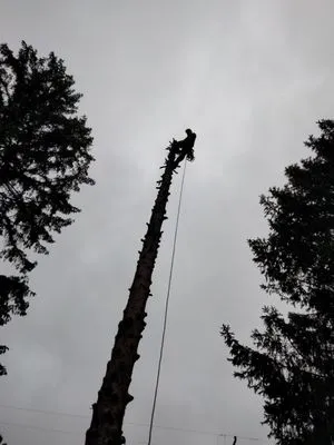On The Spot Lawncare And Landscaping Logo