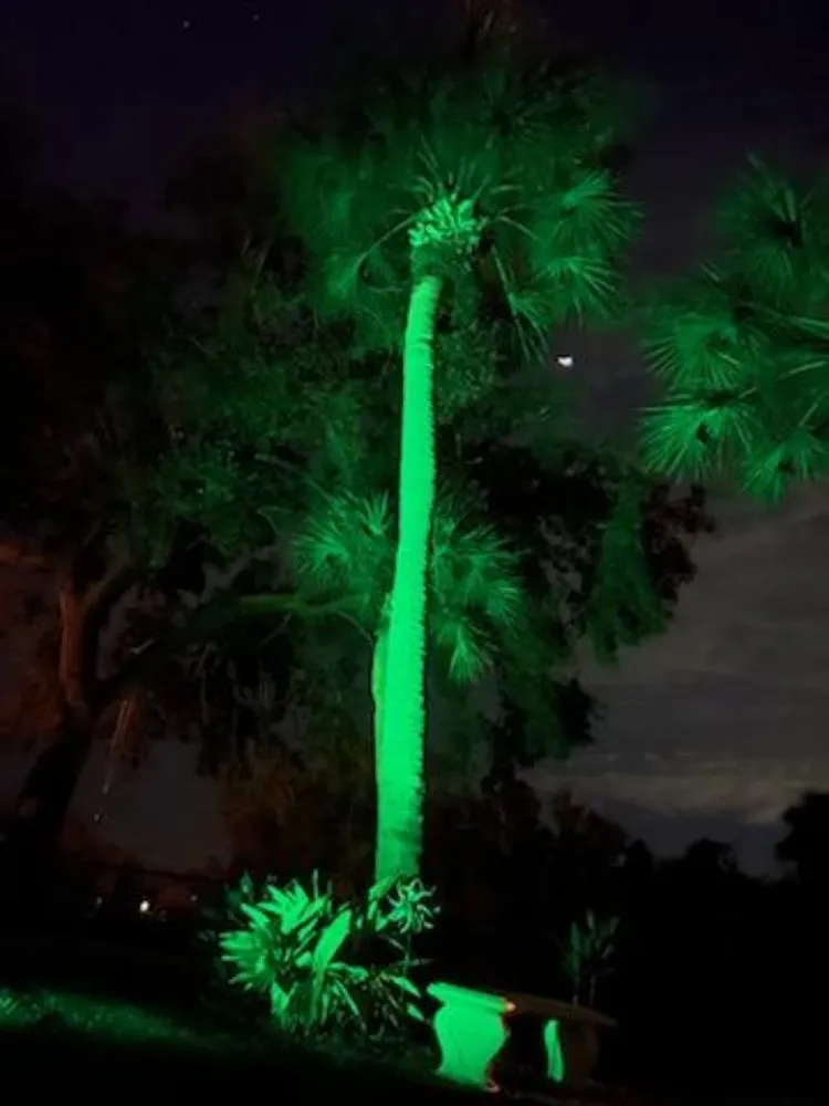 Expert landscape design experts serving North Port, FL - On The Spot Lighting