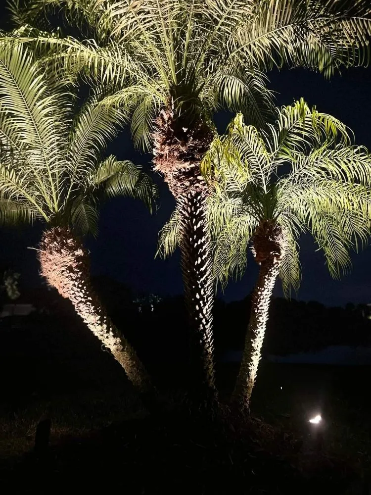 Trusted yard maintenance in North Port, FL by On The Spot Lighting