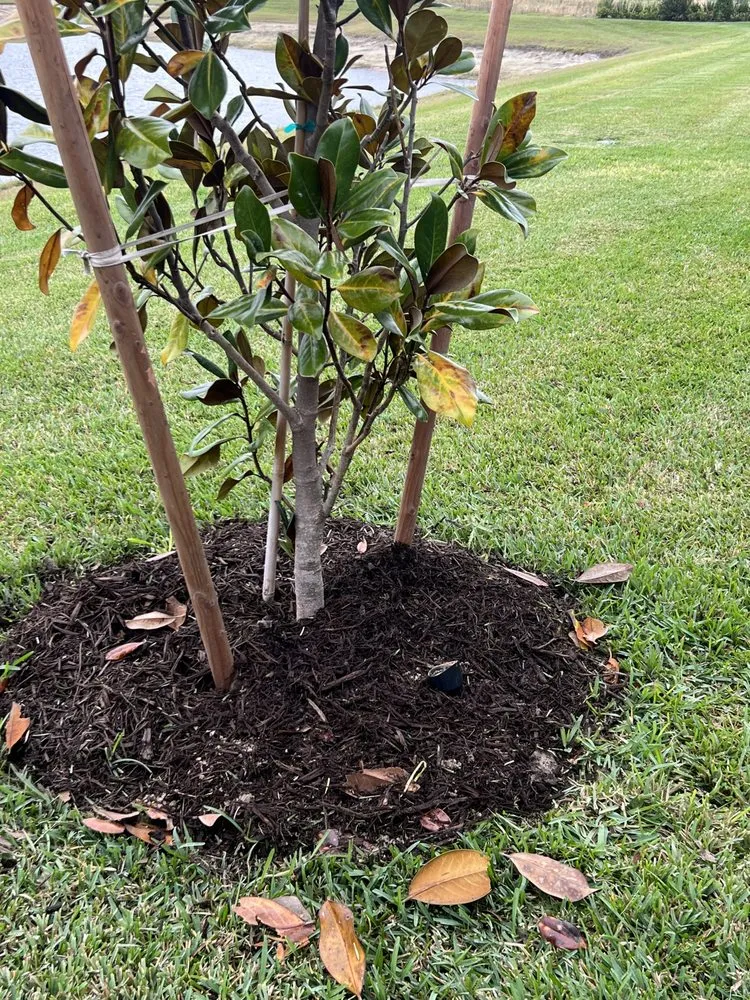 Trusted lawn mowing service in North Port, FL by On The Spot Lighting