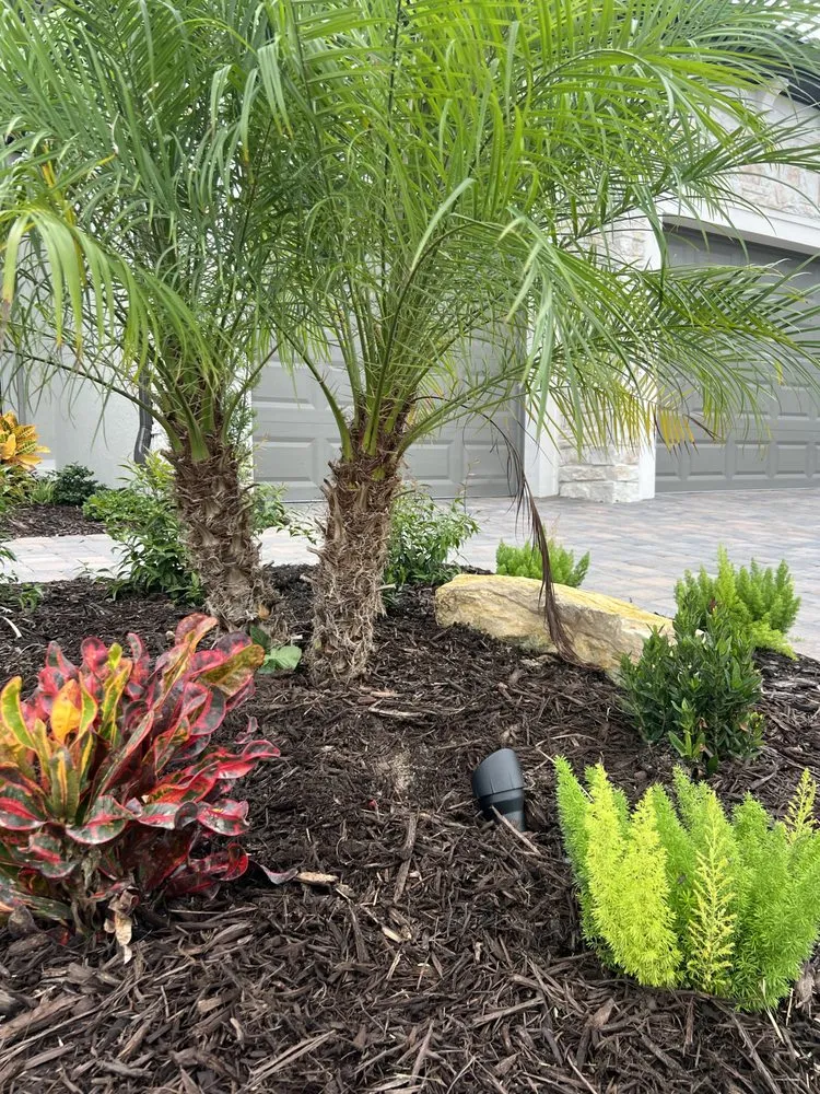 Custom lawn care service in North Port, FL - On The Spot Lighting