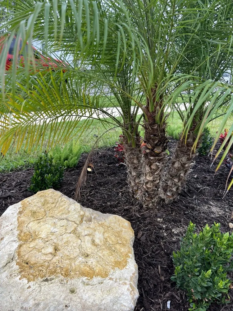 Affordable yard maintenance in North Port, FL by On The Spot Lighting