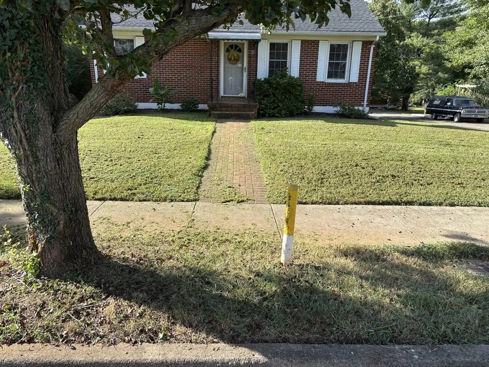Local yard cleanup service experts serving Boonesboro, VA - On the Surface Lawn Services and Exterior Design & Decor