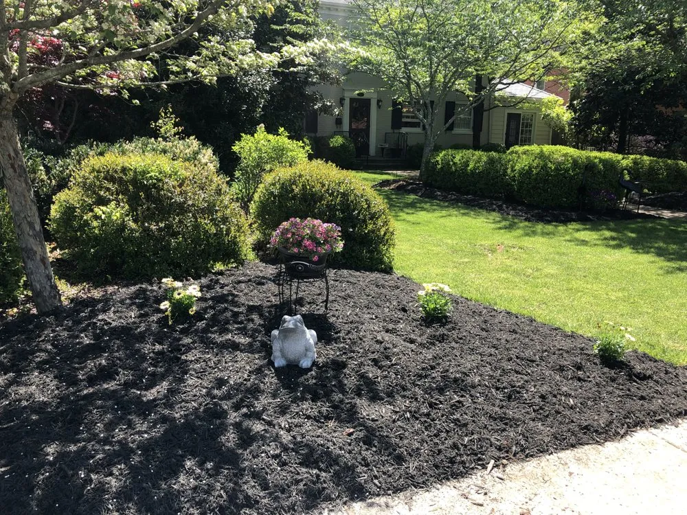 Professional yard cleanup service for year-round maintenance in Boonesboro, VA by On the Surface Lawn Services and Exterior Design & Decor