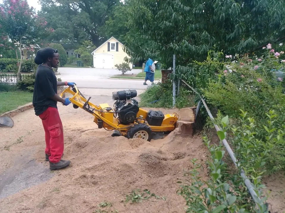 Trusted yard maintenance for homes in Durham, NC by On The Way Landscaping & Residential Services
