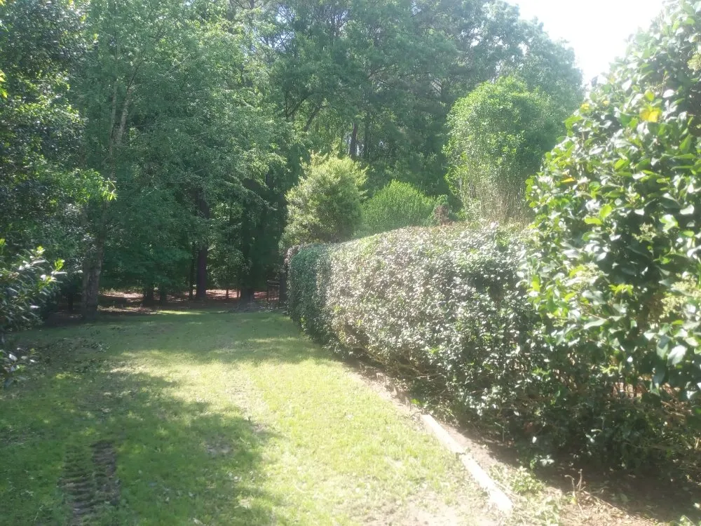 Affordable landscaping services experts serving Durham, NC - On The Way Landscaping