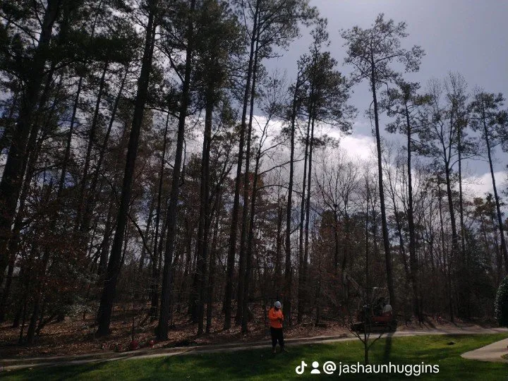 Trusted lawn care service for beautiful yards in Durham, NC by On The Way Landscaping