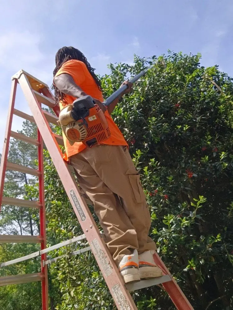 Top-rated yard cleanup service for beautiful yards in Durham, NC by On The Way Landscaping