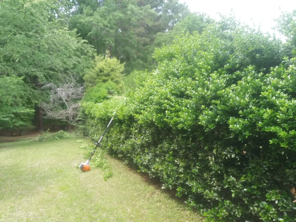 Local landscaping services experts serving Durham, NC - On The Way Landscaping