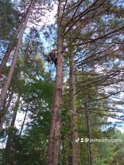 Professional landscape design in Durham, NC - On The Way Landscaping