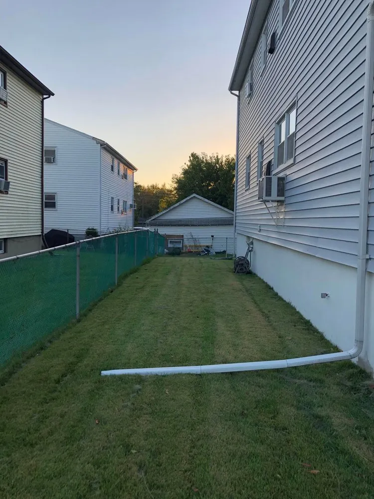 Local yard cleanup service for year-round maintenance in Newark, NJ by On Thee Move