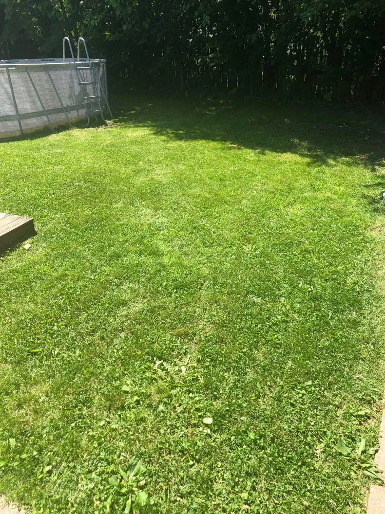 Custom yard cleanup service with custom design in Newark, NJ by On Thee Move