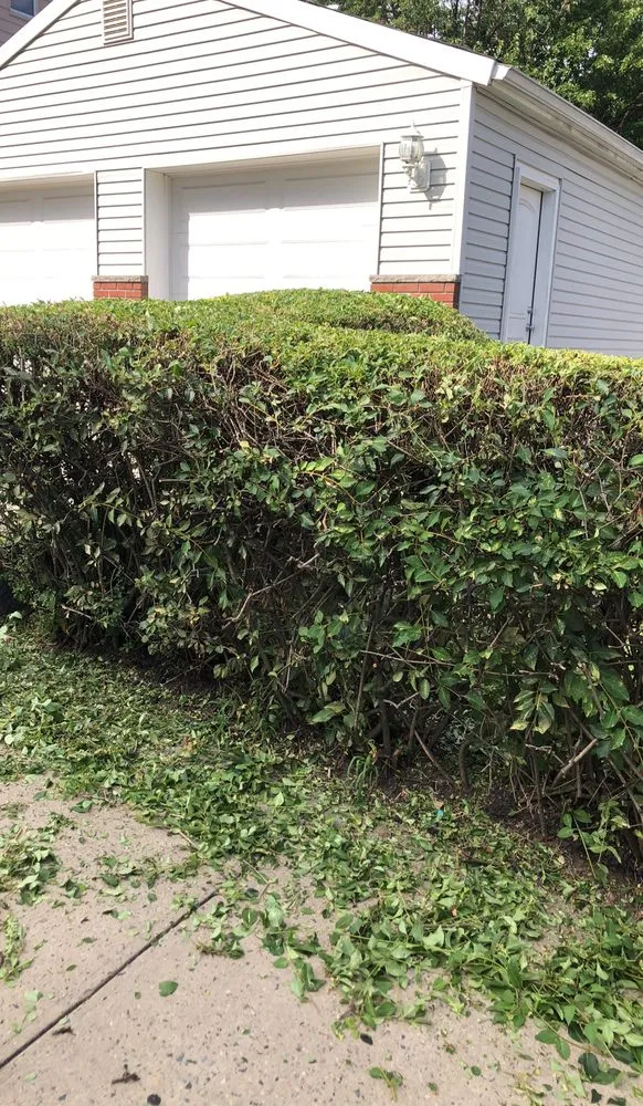 Local garden landscaping experts serving Newark, NJ - On Thee Move