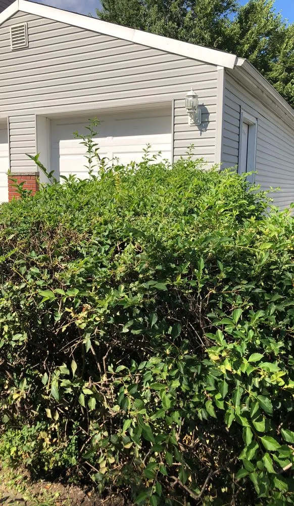 Affordable garden landscaping in Newark, NJ - On Thee Move