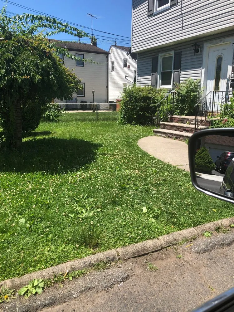 Top-rated landscape design experts serving Newark, NJ - On Thee Move