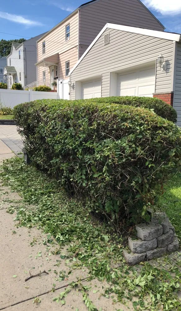 Expert yard cleanup service in Newark, NJ - On Thee Move