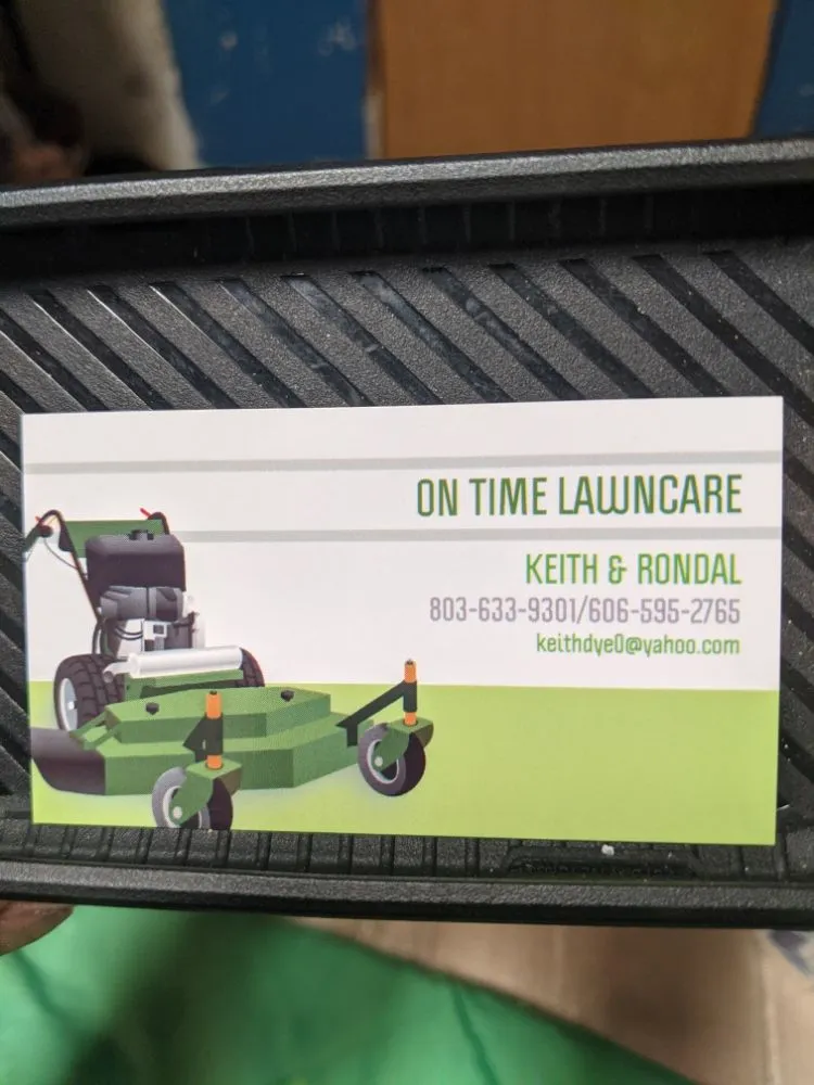 Local yard maintenance with custom design in Gray, KY by On Time