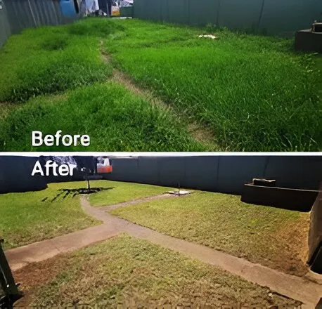 Local yard maintenance in Madison, WI - On Time Helping Hands